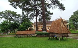 Hoạt động chỉnh lý trưng bày